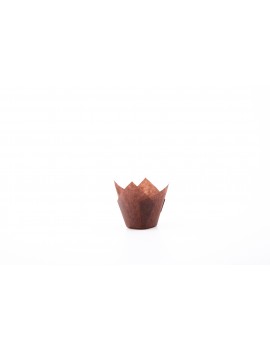 Tulipcup 150/50 Marron