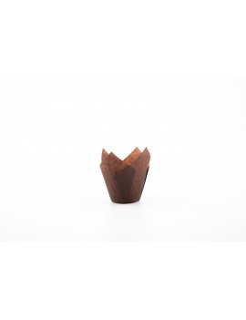 Tulipcup 175/50 Marron